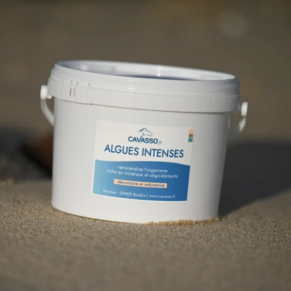Algues intenses 2.5kg+1 shampoing 250ml aux algues
