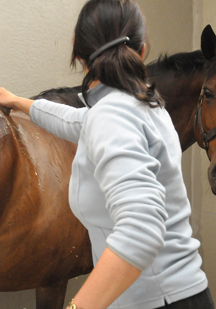 les conseils soins de Cavasso