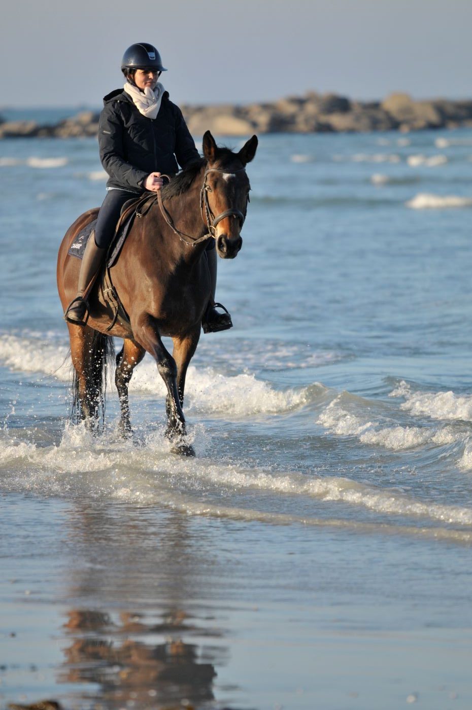 Chloé Violleau dans son élément : la mer et les chevaux