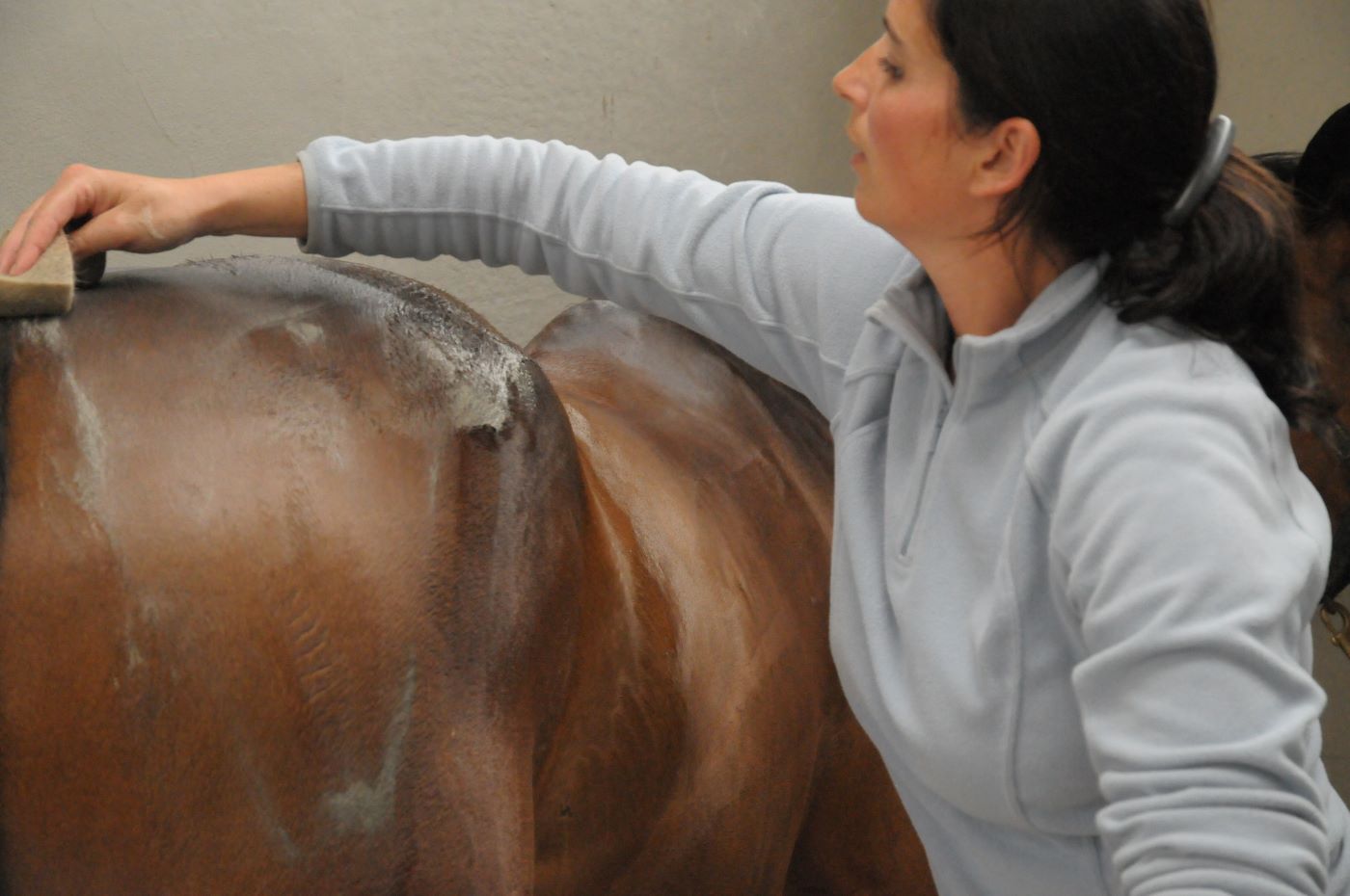 Le bien-être du cheval comme passion