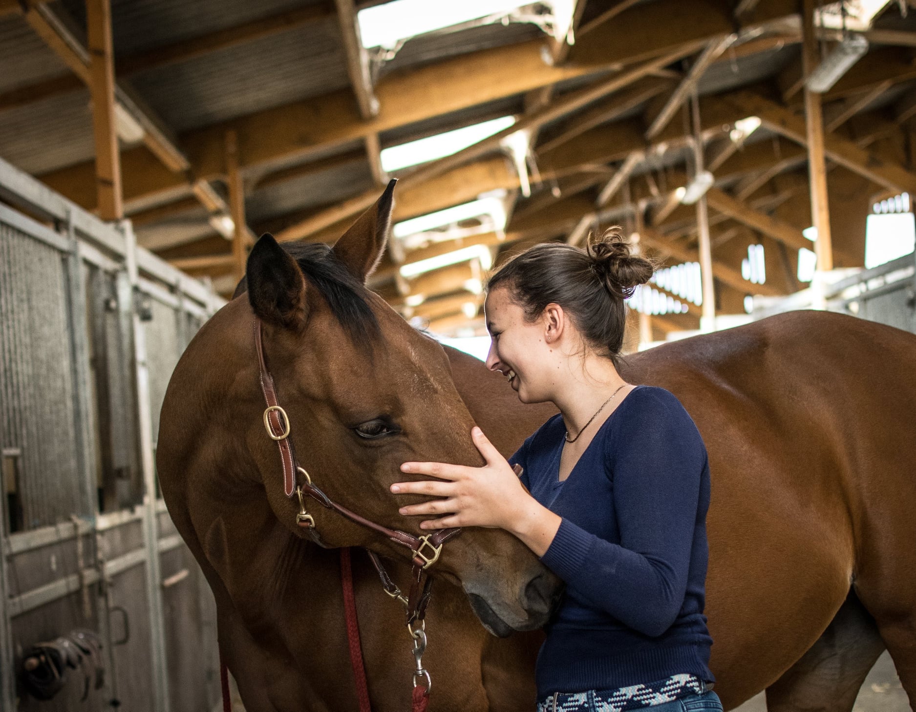 Solène Masson, masseuse kiné pour chevaux et chiens