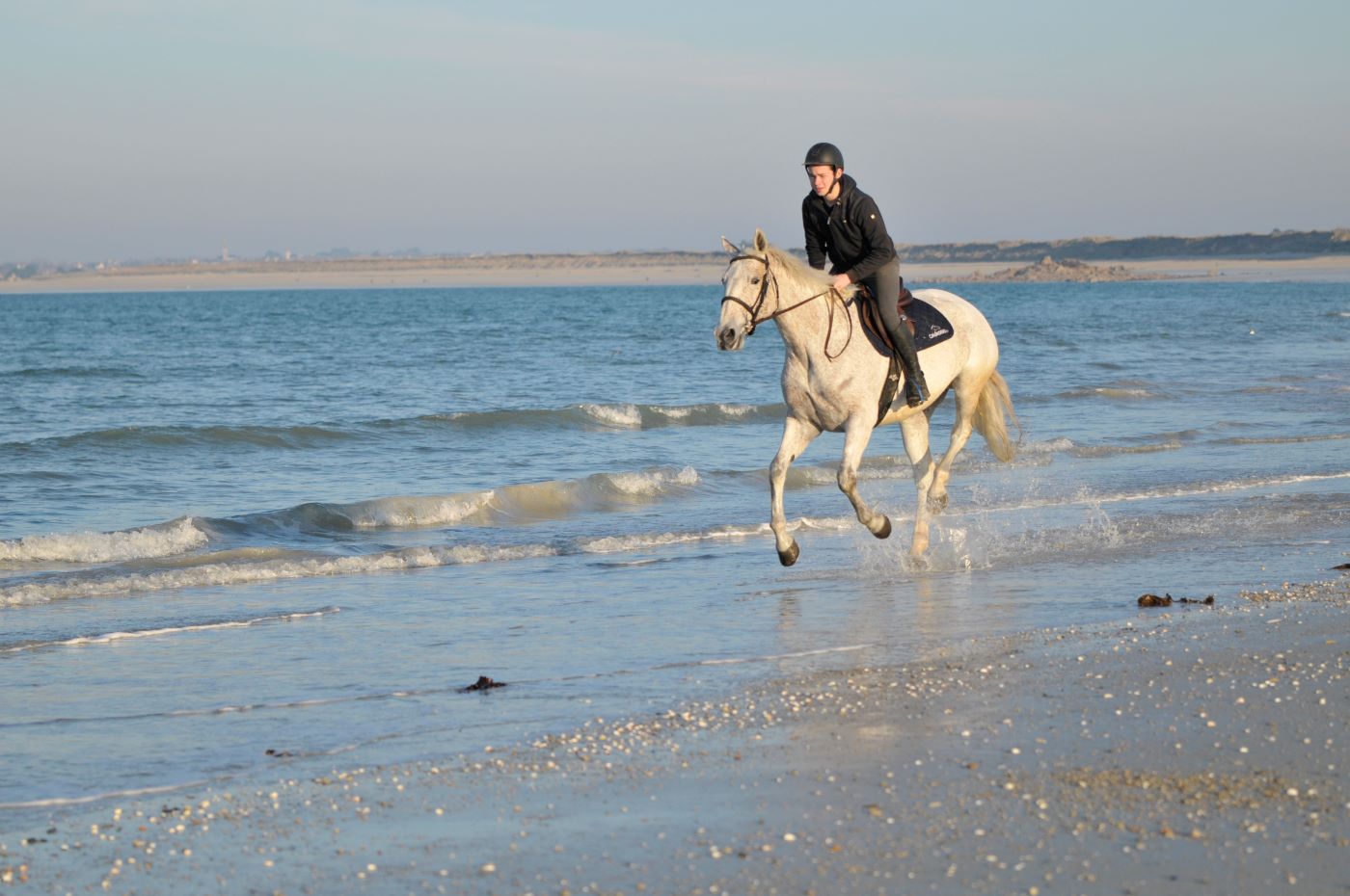 un cheval blanc au galop sur la plage en bord de mer, un jeune cavalier sur le dos
