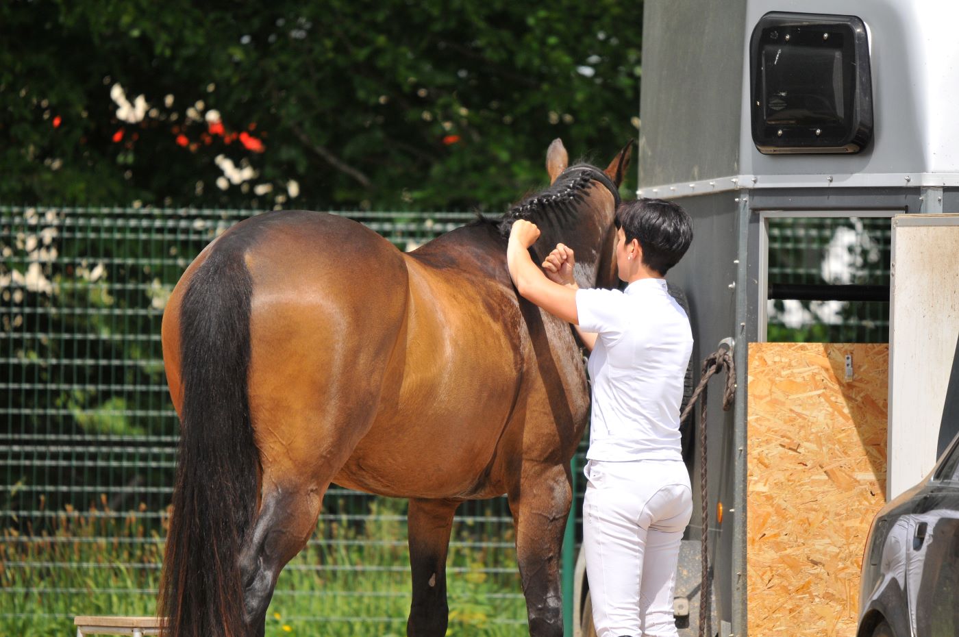 une jeune femme en tenue de concours toilettant son cheval