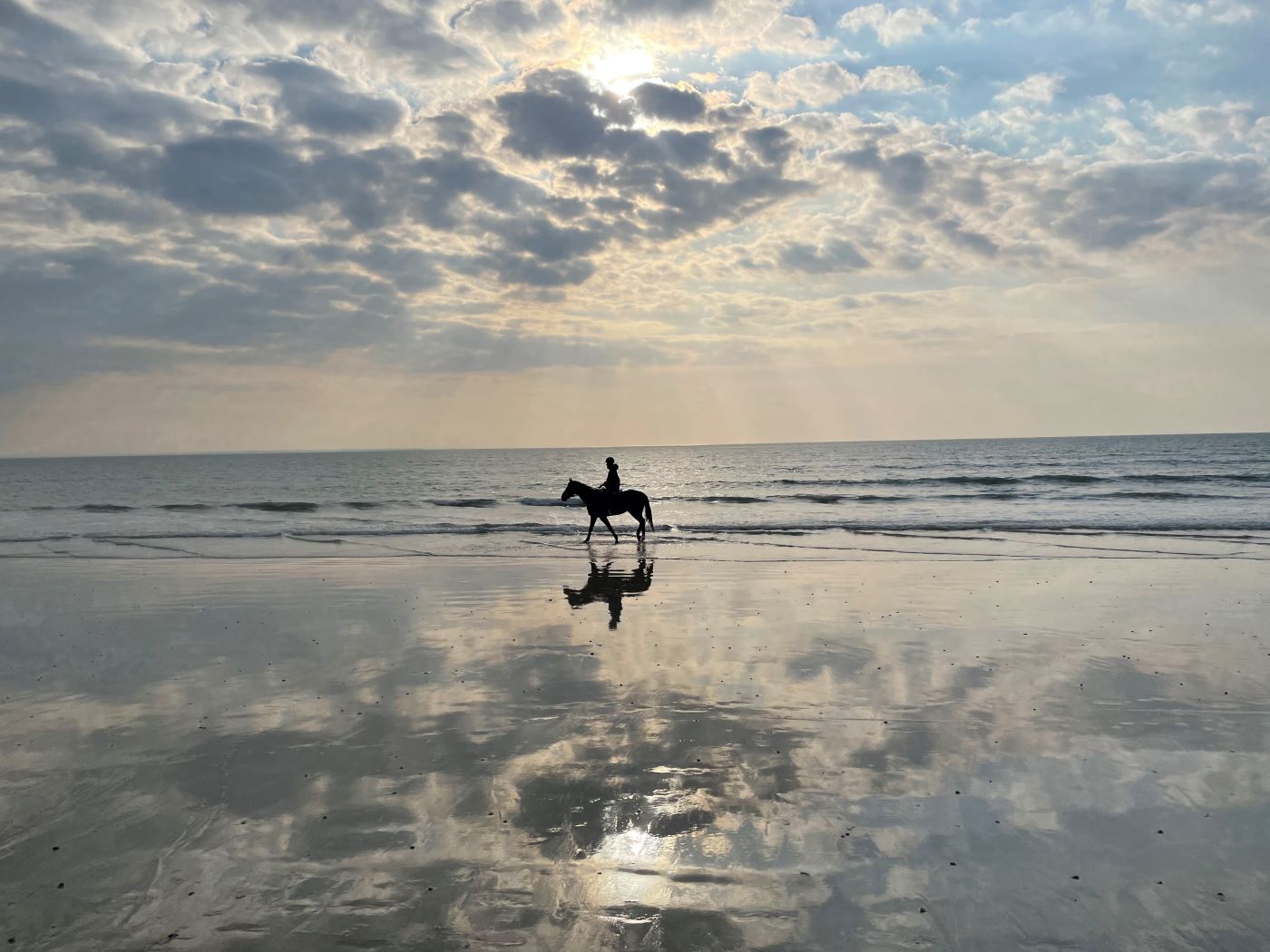 silhouette d'un cheval et de son cavalier sur une plage à marée basse sur laquelle les nuages se reflètent