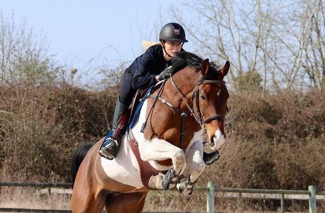 un cheval pie sautant un obstacle avec sa cavalière Aurore