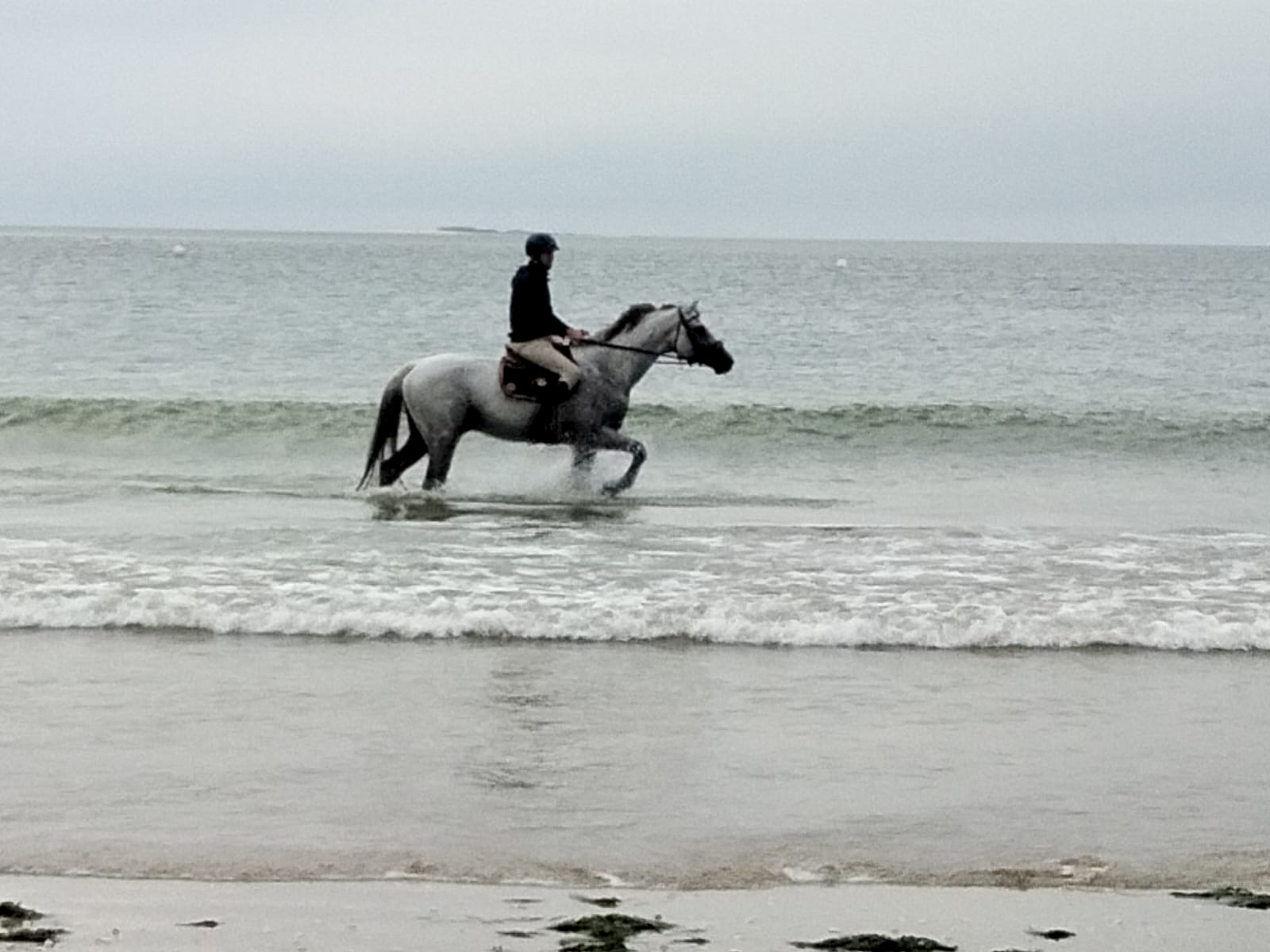 Sylvain et Nevados, le cheval de concours de Gragory Whateler, marchant dans la mer pour retirer un soin aux algues Cavasso au concours international de saut d'obstacles de La Baule 2023