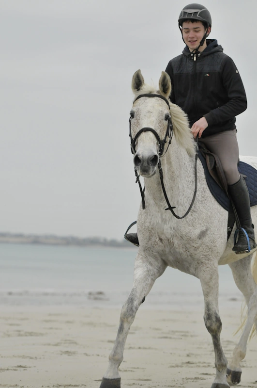 une jument grise et son cavalier à la plage un jour d'hiver