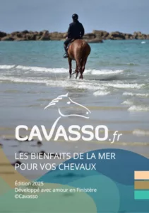 Catalogue Cavasso 2025