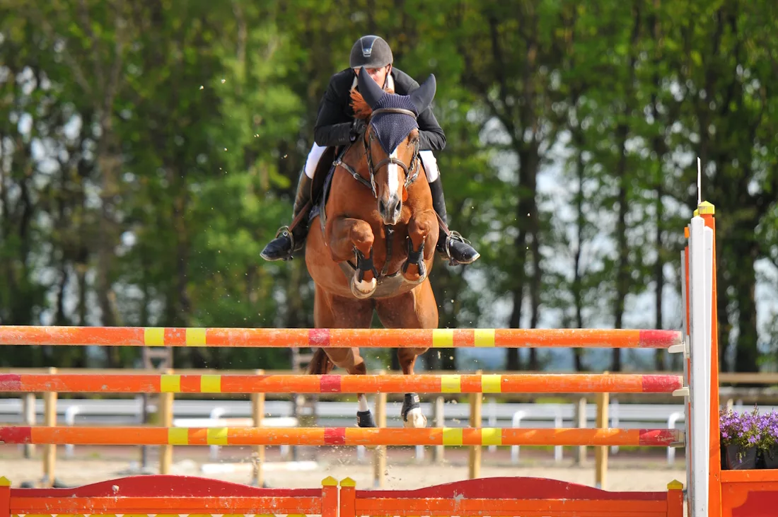 un cheval de saut d'obstacles franchissant un oxer orange de bonne taille lors d'une compétition de CSO en Finistère