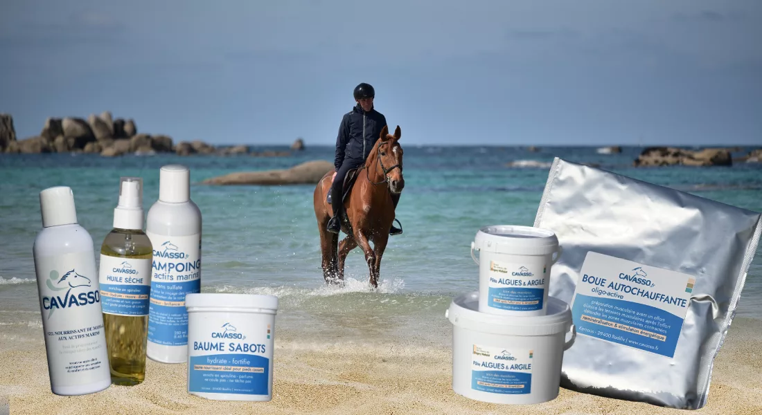 un cheval et sonc avalier marchant dans les eaux turquoises de la mer d'Iroise, en Finistère. Ils sont encadré par un montage de 6 produits Cavasso