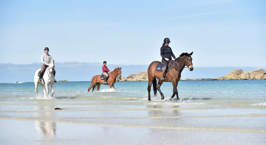 trois chevaux de sport de l'écurie de Kerrous, arborant un tapis de selle Cavasso, marchant dans les eaux turquoises de la Mer d'Iroise en Finistère Nord.