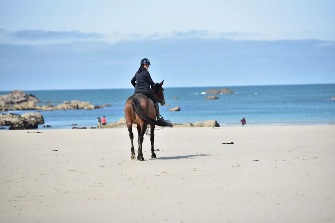 Chloe, fondatrice et gérante de cavasso, sur sa jument baie, à la plage, en Finistère Nord. La jument porte un soin Algues Intenses cavasso sur les membres.