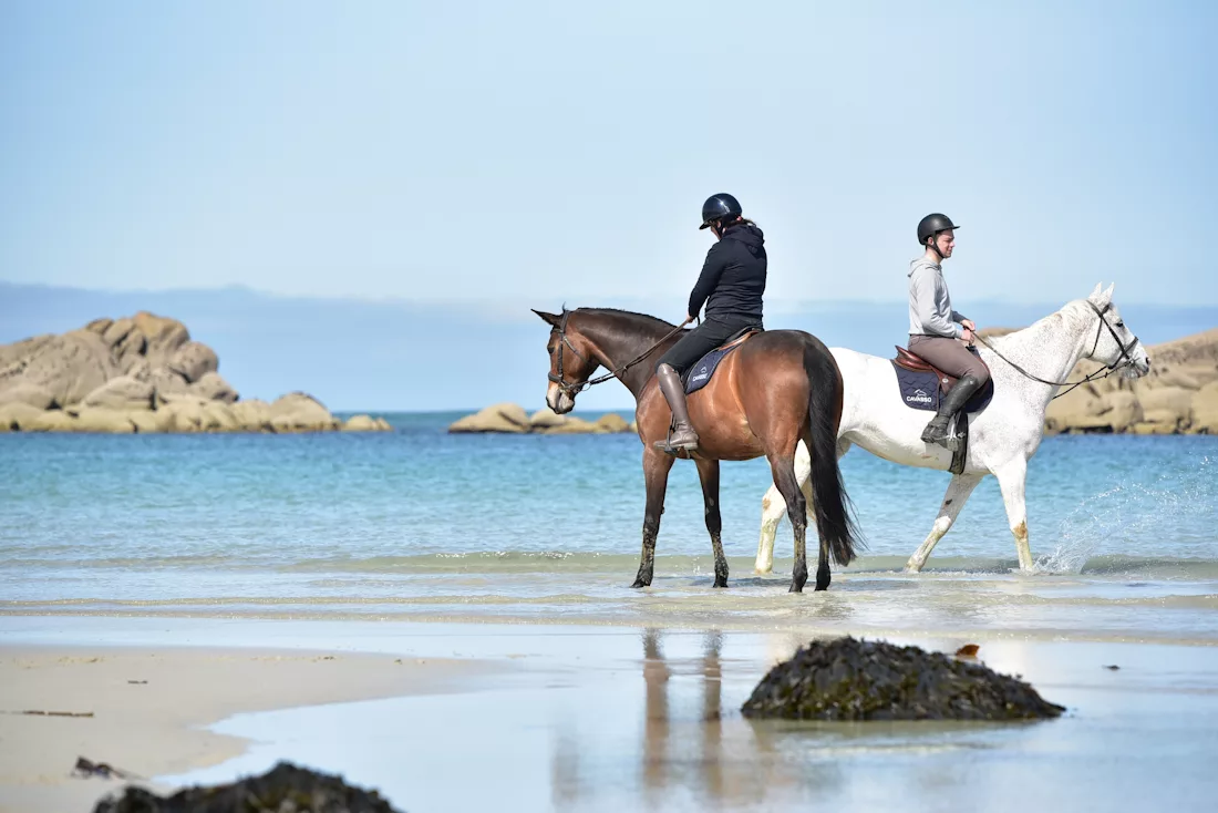 Deux cavaliers et leurs chevaux à la page, à la belle saison. Ils marchent dans l'eau turquoise, détendus. Ils portent sur els membres un soin aux lagues pour chevaux Cavasso
