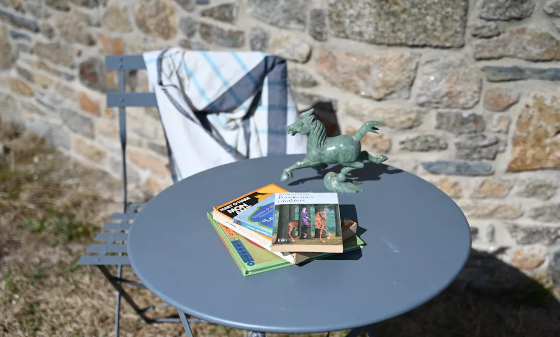 Sous le soleil estival, une statuette de cheval en jade et des livres parlant de chevaux, posés sur une table en fer forgé. Une sélection de lectures pour l'été signée Cavasso.