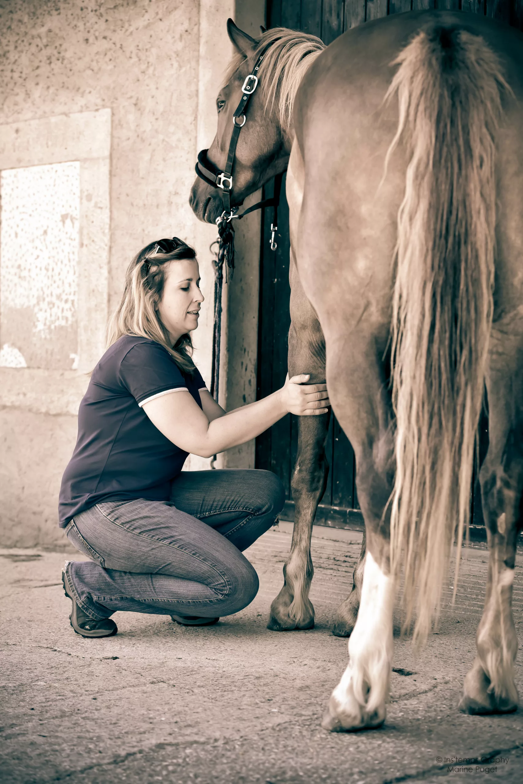 Cindy Wohlwend, masseuse équin, en cours de soin sur un cheval