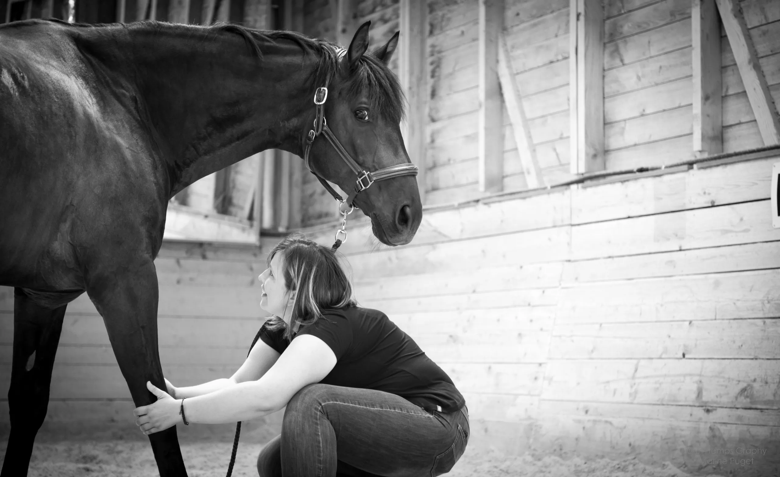 Cindy Wohlwend, masseuse équin, étirant la jambe antérieur d'un cheval