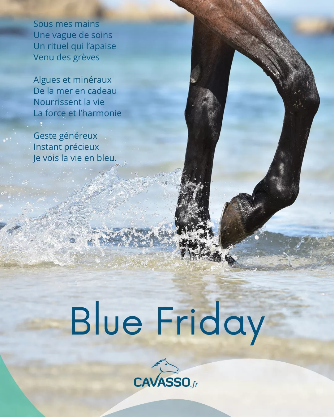 cheval qui marche dans la mer turquoise du Finistère Nord. La photo porte la mention Blue Friday, Cavasso