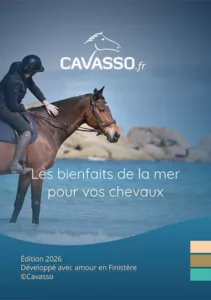 Cavasso catalogue 2026