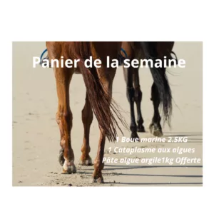 Panier de la semaine (1 Boue Marine2.5kg+1 cataplasme aux algues+1 seau de 1kg Pâte Algue Argile offerte )