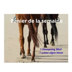 Panier de la semaine (1 Shampoing 50 ml et 1 seau de crème algue bleue 2kg  )